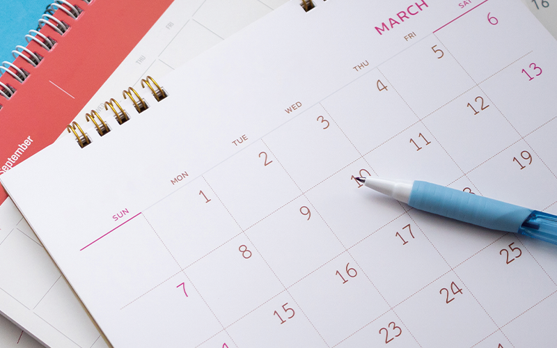 가입 시기별 이점 비교